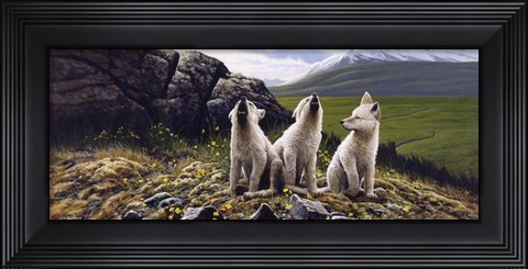 Framed Three Wolves Print