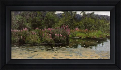 Framed Purple Lustrife - Townsend&#39;s Pond Print