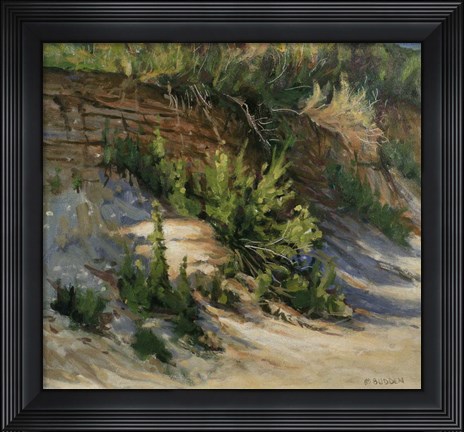 Framed Gull Island Print