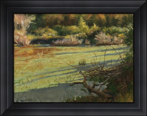 Framed Pond Shadows Print