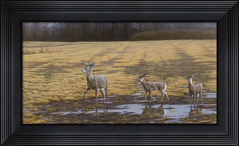 Framed Sense Of Danger Print