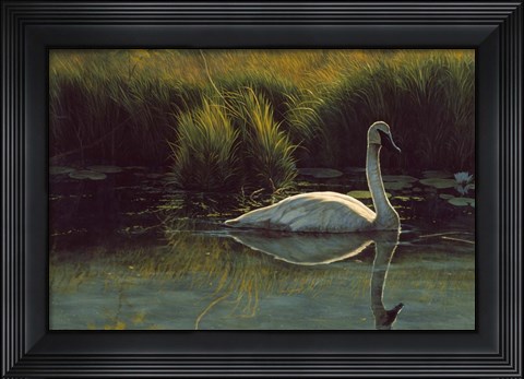 Framed Reflections Of Grace Print