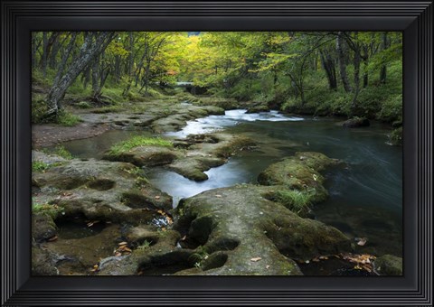 Framed Nikko 1 Print