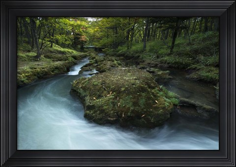 Framed Nikko 2 Print