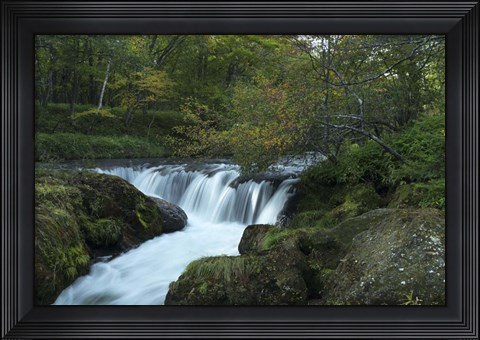Framed Nikko 3 Print