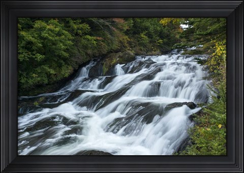 Framed Nikko 4 Print