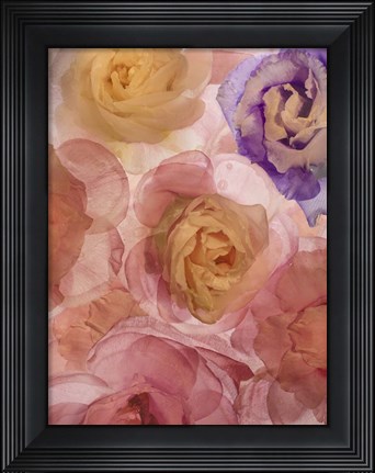 Framed Rosas Compo 2-2 Print