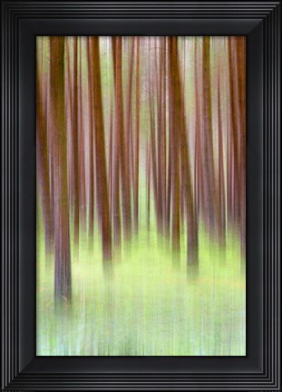 Framed Blurred Trees 2 Print