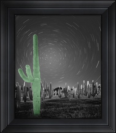Framed Sonora - Pop Print