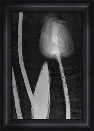 Framed 1 Tulipan Print