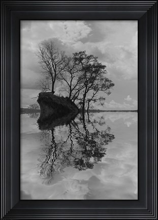 Framed Arboles en Agua 8 Print