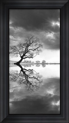 Framed New Beginning Reflect Print