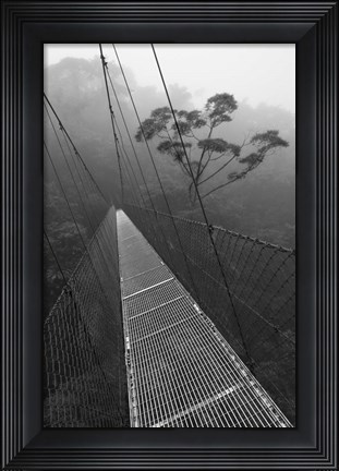 Framed Costa Rica 18 Print