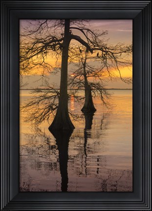 Framed Two Trees on Water Print