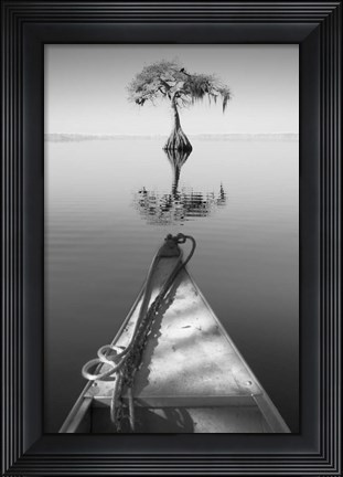 Framed Alone with my Tree II Print