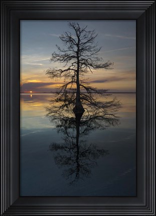 Framed Tree Print