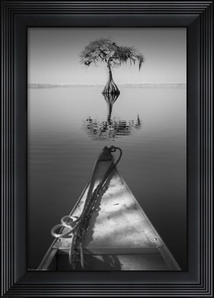 Framed Alone With My Tree 2 Print