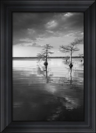 Framed Pareja Print