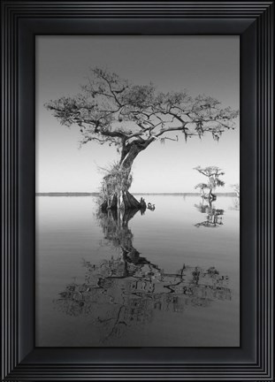 Framed Trees at Lake 2 Print