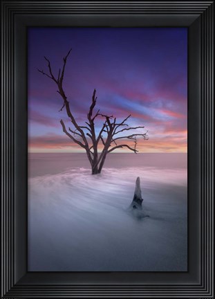 Framed Dead Tree 2 Print