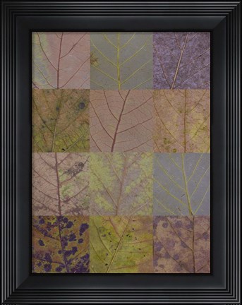 Framed Hojapedia 2 Print