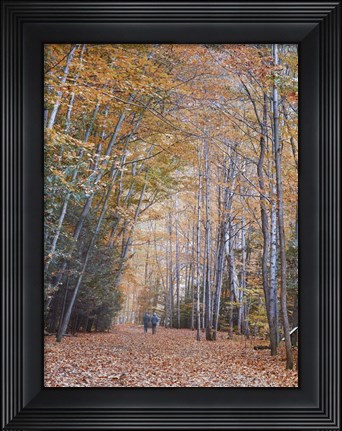 Framed Walking Print