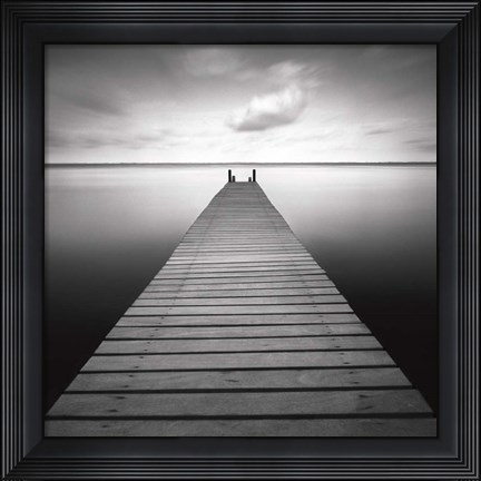 Framed Bull Print