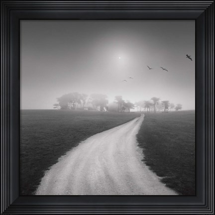 Framed Destiny 1 Print