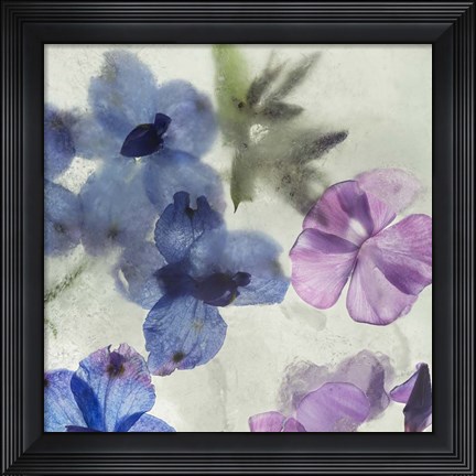 Framed Flores en Hielo I Print