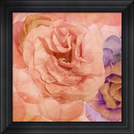 Framed Rosa Cuadrada Print