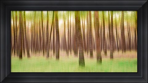 Framed Blurred Trees 5 - Verde Print