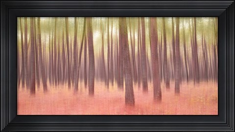 Framed Blurred Trees 5 Print