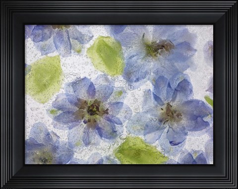 Framed Flores Congeladas 4 Print