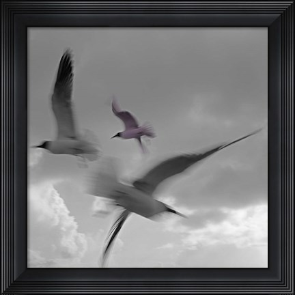 Framed Libertad - Pop Print