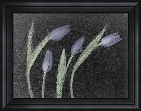 Framed Tulipanes Azules Print