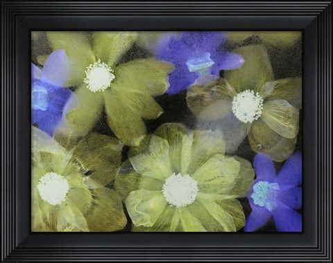 Framed Flores Congeladas 5 Print