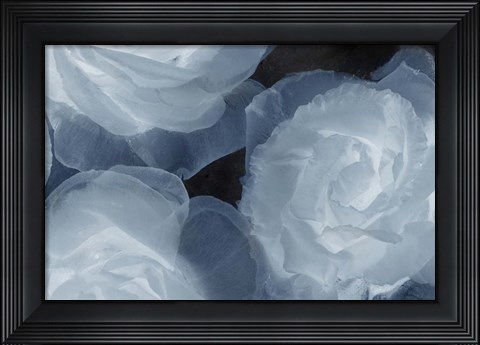 Framed Rosas Azules 2 Print