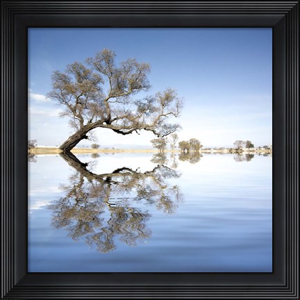 Framed Arbol en Agua 2 Color Print