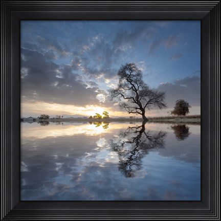 Framed Arbol en Agua 5 color Print