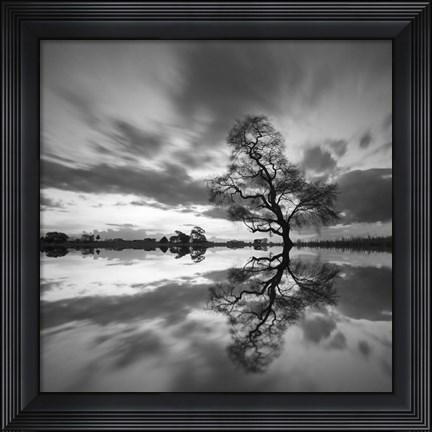 Framed Arbol Solitario en Temoaya color Reflect BN Print