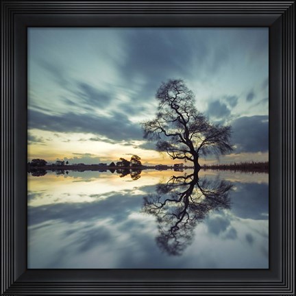 Framed Arbol Solitario en Temoaya Color Reflect Print
