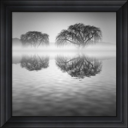Framed Sauces Vertical en Agua BN Print