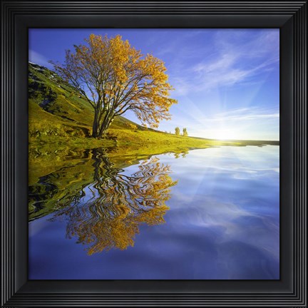 Framed Yellow Tree Reflection Print