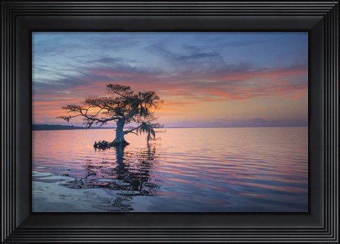 Framed Alone at Sunrise Print