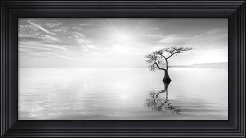 Framed Judge II Print