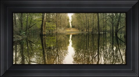 Framed Suwanne Reflection Panoramic Print