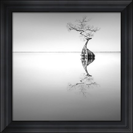 Framed Zen Tree Print