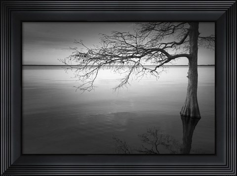 Framed Apoyo Print