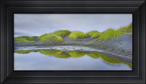Framed Prados Verdes Print