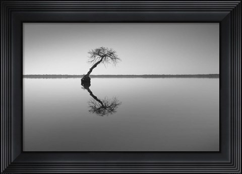 Framed Tree at Lake 1 Print